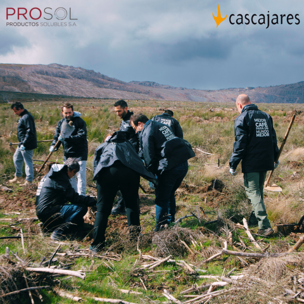 Productos Solubles: PROSOL