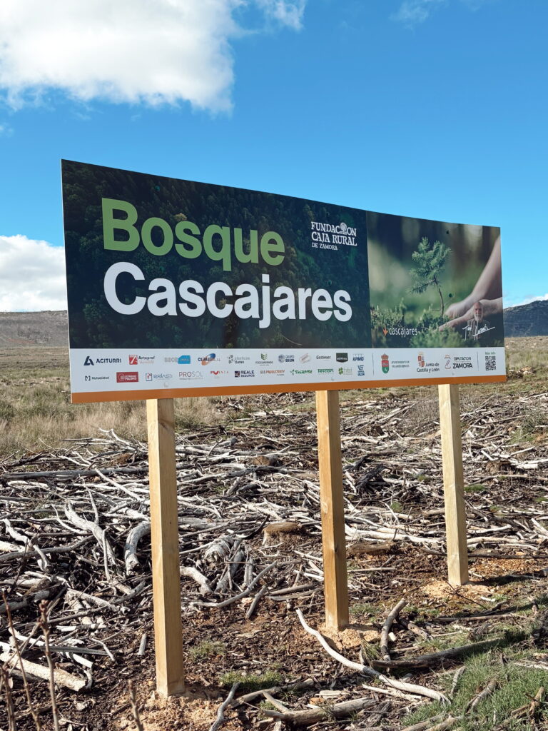 Bosque Cascajares