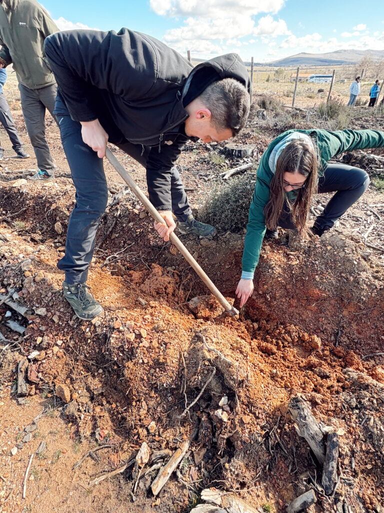Replantando árboles en el Bosque Cascajares